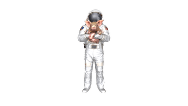 3d-model-1